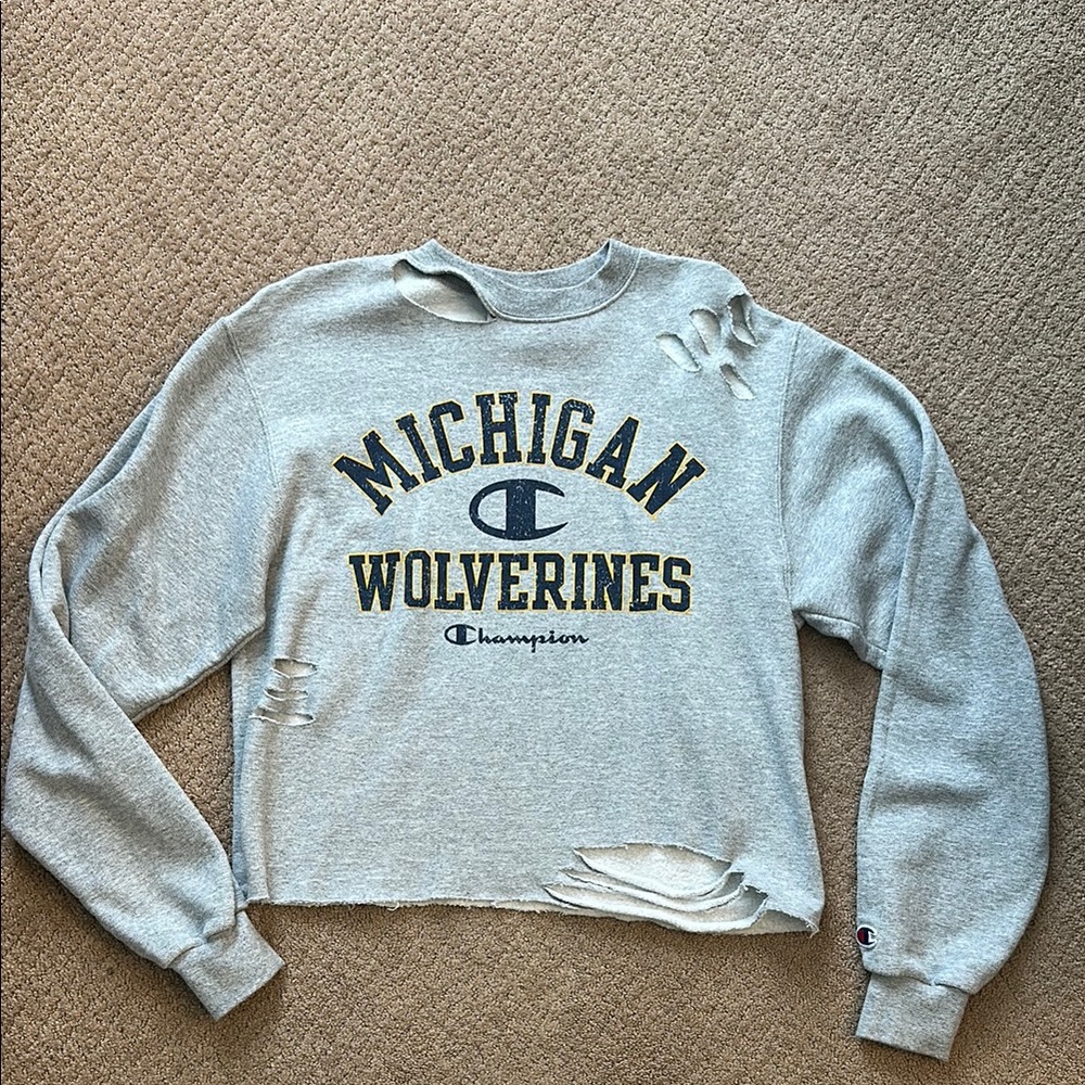 Champion Gray Boxy Crop Hoodie Long Sleeve